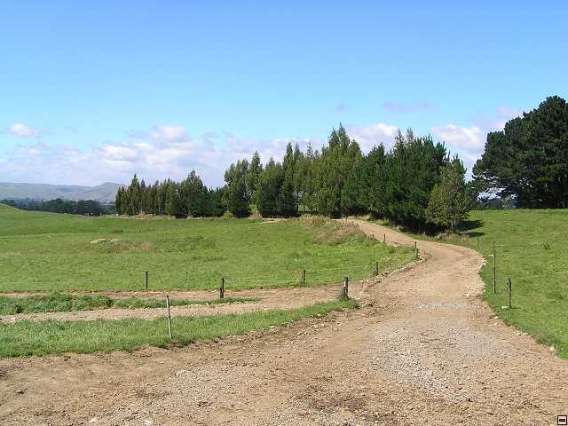 NZ leden-unor 2006 115.jpg